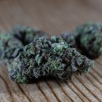 Выращивание Марихуаны для Семян Основные Принципы img-1161.jpg