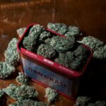 Автоцветущие семена конопли особенности и преимущества img-139.jpg