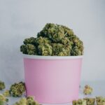 Семена технической конопли и их применение img-1967.jpg