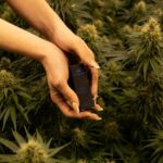 Спайс и его опасность для здоровья img-2300.jpg