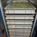 Купить гашиш в Пензе img-2442.jpg