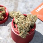 Семена конопли и их польза для здоровья img-2682.jpg