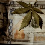 Купить гашиш в России img-3413.jpg