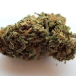 Кракен даркнет площадка и ее особенности img-411.jpg