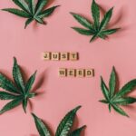 Феминизированные семена конопли Sativa Indica Mix C от Green House Seeds img-615.jpg