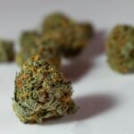 Конопляное пиво новый тренд в мире крафтового пива img-832.jpg